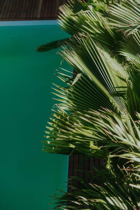 Breezy Chalet - Chale Havai Tutóia المظهر الخارجي الصورة